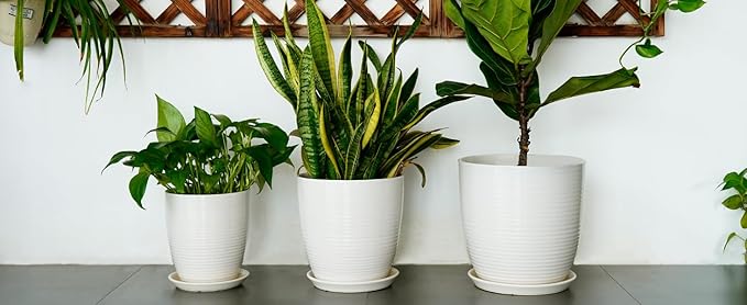 10 Inch Ceramic Planter Pot Large Plant Pot with Drainage Hole and Saucer Modern Round Flower Pot for Indoor Outdoor Plants Garden Pot White