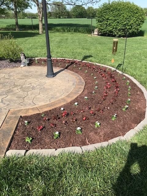 Edward Tools 5 in 1 Long Handle Garden Tool - Sturdy Steel Pro Grade Bulb Planter, Long Handle Weeder, Sod Plugger, Soil Probe, Transplanter - Step, Twist, Pull - Multi Depth Options