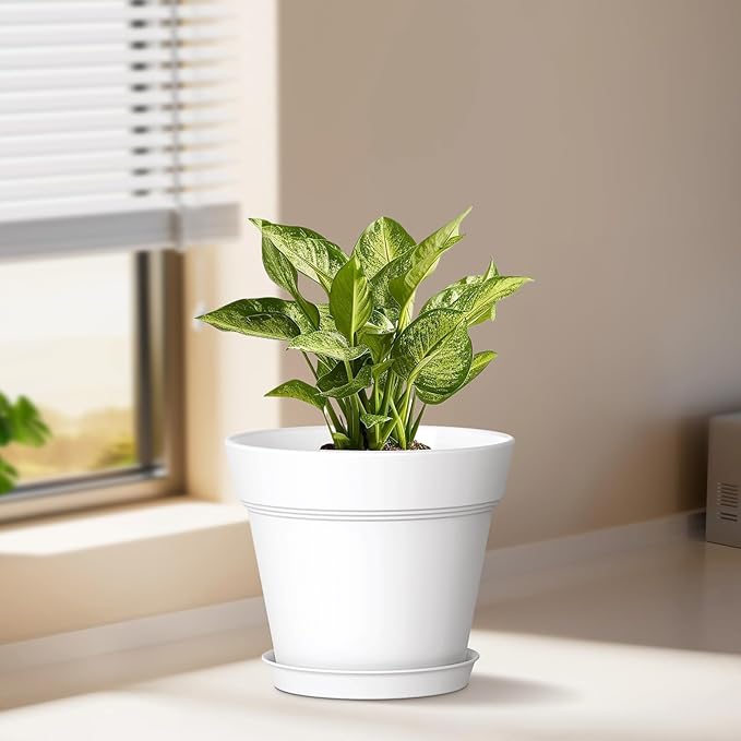 5 Inch Plastic Plant Pots with Drainage Holes and Trays – 6 Pack Small Nursery Pots for Indoor & Outdoor House Plants and Flowers, Seedling Starter Planters, White