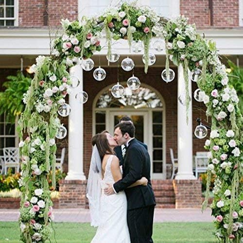 12 Pcs 3.15"/ 8cm Hanging Glass Tealight Holder Globe Plant Terrariums Glass Orbs Air Plants Tea Light Candle Holders Home Decor Indoor Outdoor Garden (with 2 Holes, 9 Pcs + 3 Pcs)