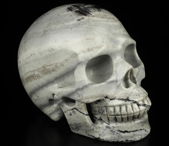 Skullis 5.0”Picasso Jasper Crystal Skull, Hand Carved Gemstone Fine Art Sculpture, Reiki Healing Stone Statue.3160