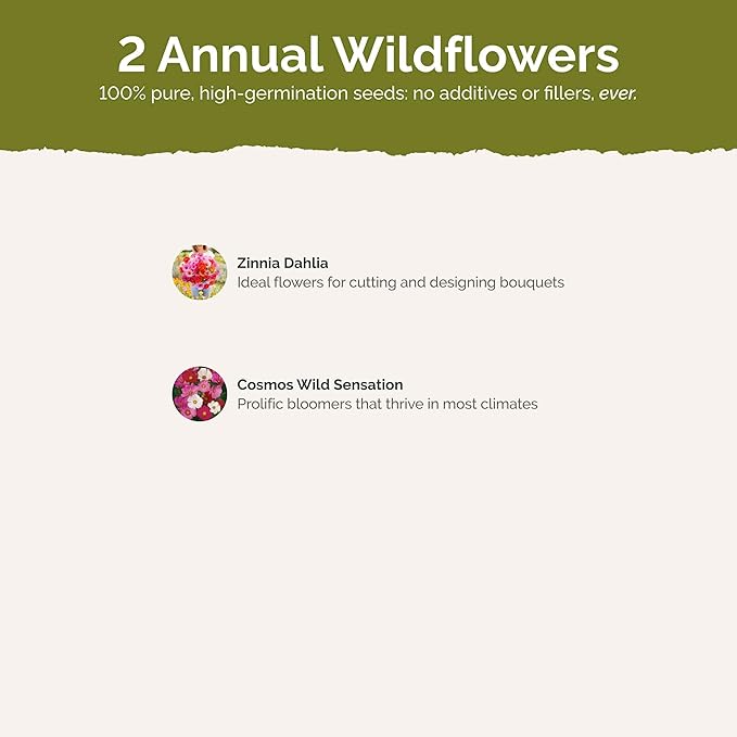 Eden Brothers Cosmic Zen Flower Mixed Seeds for Planting, 1 lb, 480,000+ Seeds with Zinnia Dahlia Flowered, Cosmos Sensation | Attracts Pollinators, Plant in Spring, Zones 3, 4, 5, 6, 7, 8, 9, 10