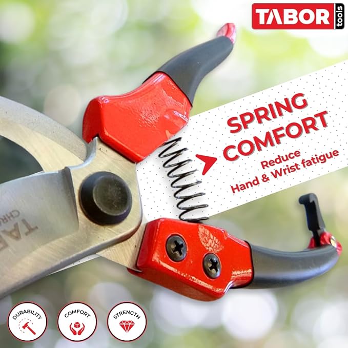 TABOR TOOLS S821A Bypass Pruning Shears, Makes Clean Cuts, Great for S-M Size Hands. Professional Sharp Secateurs, Hand Pruner, Garden Shears, Clippers for The Garden.