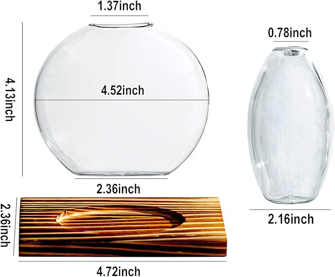 Glass Planter Propagation Station with Wooden Base - Clear Oblate Hydroponic Vase, Decorative Desktop Flower Vase for Home, Office, Windowsill - Gift for Plant Lovers (6)