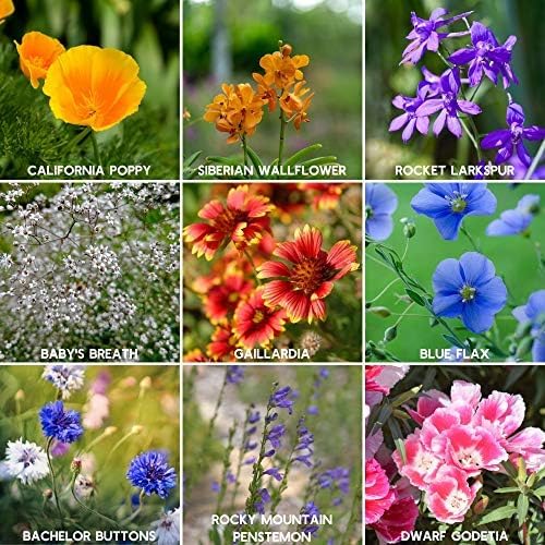 Rocky Mountain Wildflower Seeds Mix - 4 oz Seed Pouch - 22 Wild Flower Seed Varieties - Annuals, Perennials and Bi-Annuals - Flower Garden