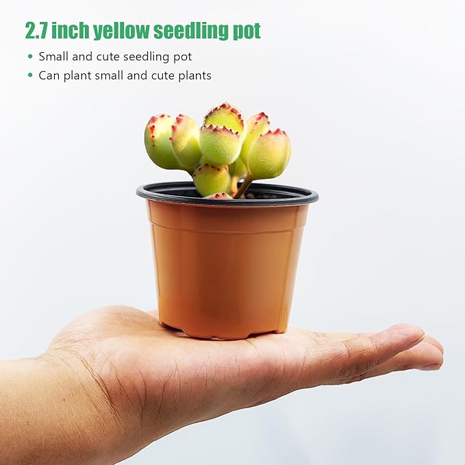 100 Pack 2.8" Nursery Pots, Plastic Pots for Plants, Small Plant Pots for Succulents, Seedlings, Flowers, Cuttings, Transplanting（Ochre Color）