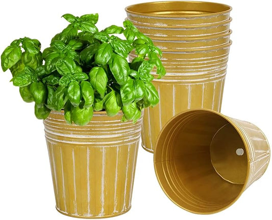 vensovo 6 Inch Gold Metal Rustic Flower Pots - 6Pcs Galvanized Planters with Drainage Hole and Rubber Plug, Rustproof Metal Bucket Plant Pots Farmhouse Vintage Style for Decor