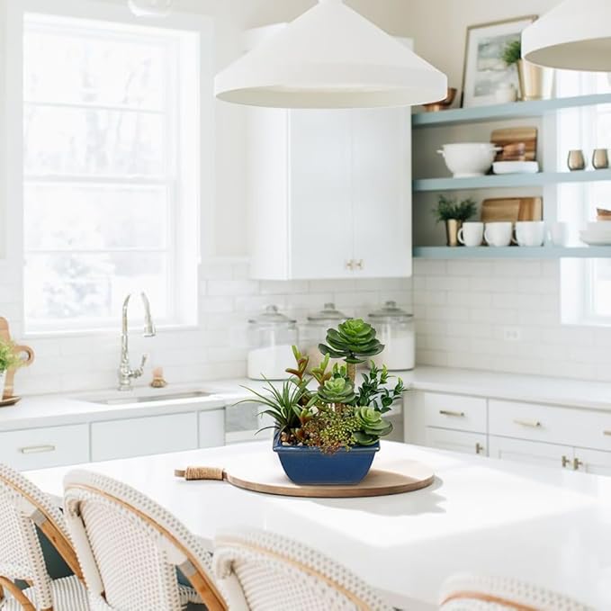 Small Faux Plant Assorted Fake Succulents Plants with Glazed Ceramic Pot Faux Succulents Arrangement Cement Potted Desk Plants Small Fake Plants for Home Table Office Bathroom Shelf Living Room Decor