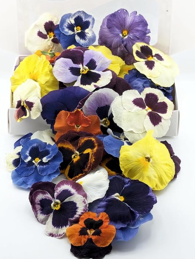 Pansy Edible Flowers for Cocktails & Desserts - 20 USA-Grown Freeze-Dried Flowers for Drink Garnish - Edible Dried Flowers (0.2 oz)