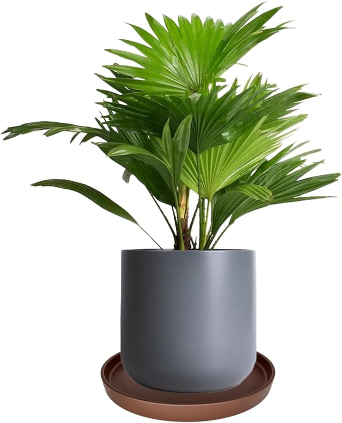 Ceramic Plant Saucer Pot Tray 10 Inch, Planter Saucers 4 5 6 7 8 9 10 11 12 13 Inch for Indoors Outdoor, Durable Sturdy Flower Drainage drip Water Tray for Glazed Pots Base (10.7 Inch-Brown)