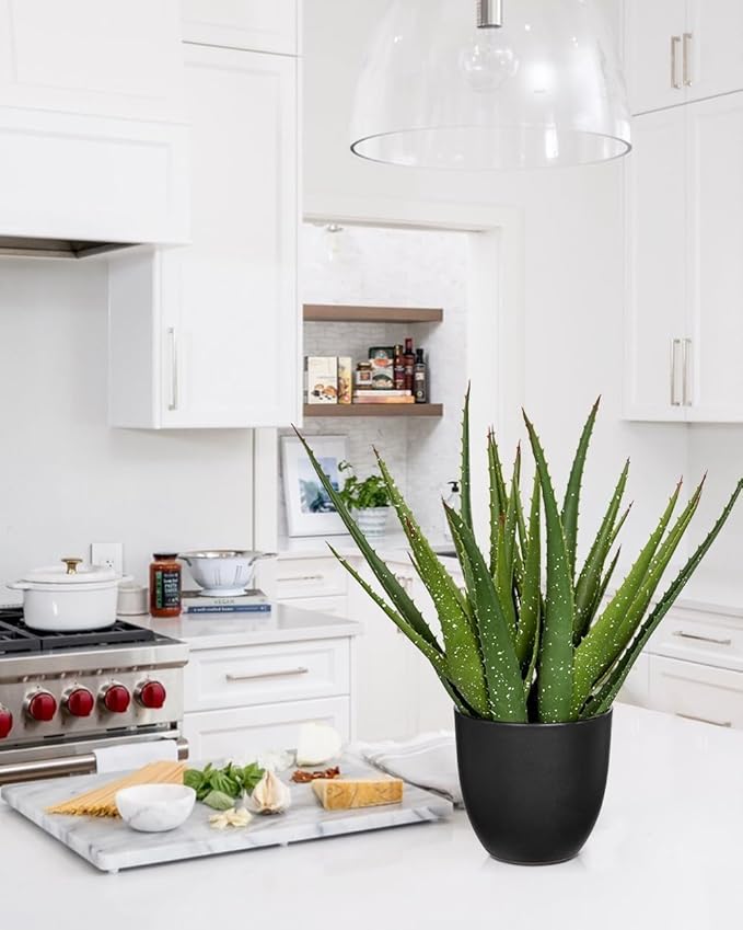 Large Fake Succulent Aloe Vera Plants 16.5 Inch Artificial Succulents with Black Pot Faux Aloe Potted Plant for Desk Modern Home Office Bedroom Living Room Table Shelf Decor