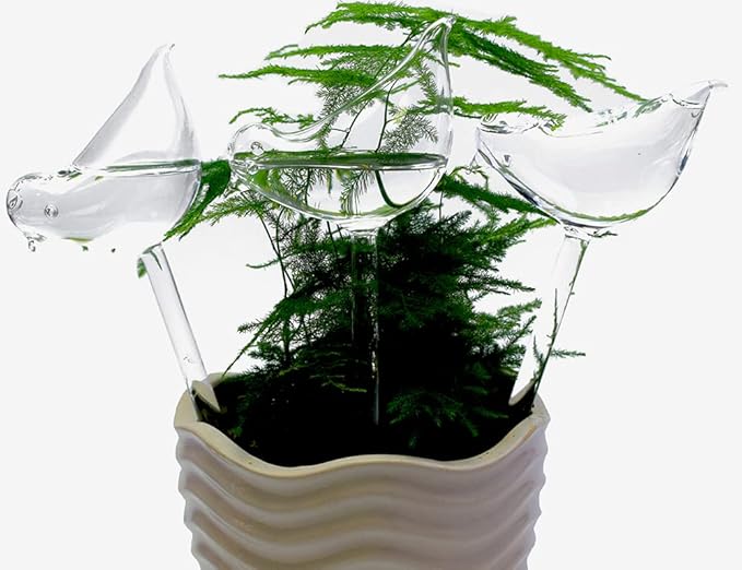 Glass Plant Watering Globes, Self Watering Globes Bird Shape, Self Watering Planter Insert, Plant Watering Devices, Automatic Plant Waterer Indoor, Watering Bulbs, 3 Pack