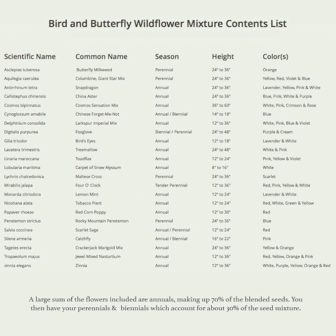 Seed Needs Wildflower Seeds Hummingbird and Butterfly Seed Mix | 2 Packs (1 Ounce Each) No Filler 23 Varieties Garden Seeds Annual & Perennial Species | Pollinator Attracting Flower Seed | Bulk