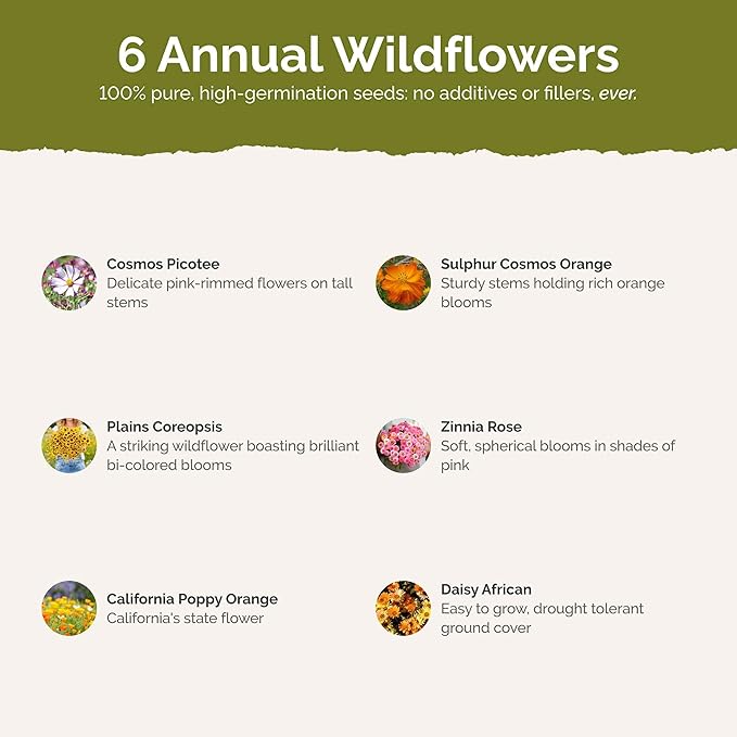 Eden Brothers Orange Sherbet Flower Mixed Seeds for Planting, 1 lb, 480,000+ Seeds with Cosmos Picotee, Bright Lights | Attracts Pollinators, Plant in Spring or Fall, Zones 3, 4, 5, 6, 7, 8, 9, 10