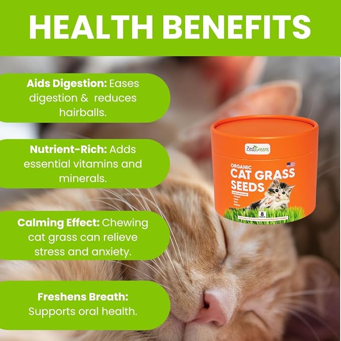 ZESTIGREENS Organic Cat Grass Seeds - Non-GMO Blend of Wheat, Oats, Rye & Barley for Indoor Cats | Seeds Come in Food Grade Container with Lid for Easier Scooping & Keeping Fresher (0.5 lb)