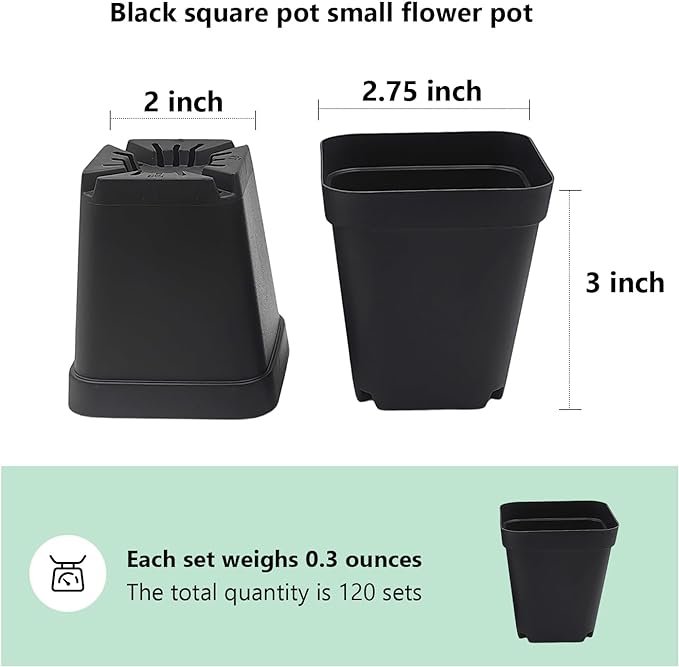 Square Nursery Pots 3" 120Pcs Deep Succulent Plastic Pots Small Flower Planter Seeds Starter Germination Pots with Drainage (Black,2.7Inches,120Pcs)