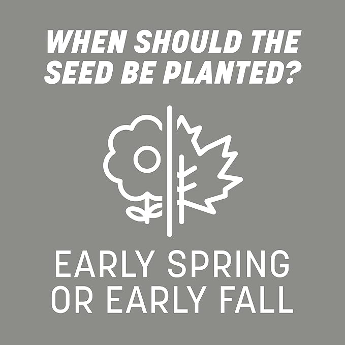 Pennington Contractors Grass Seed Mix Central 7 lb