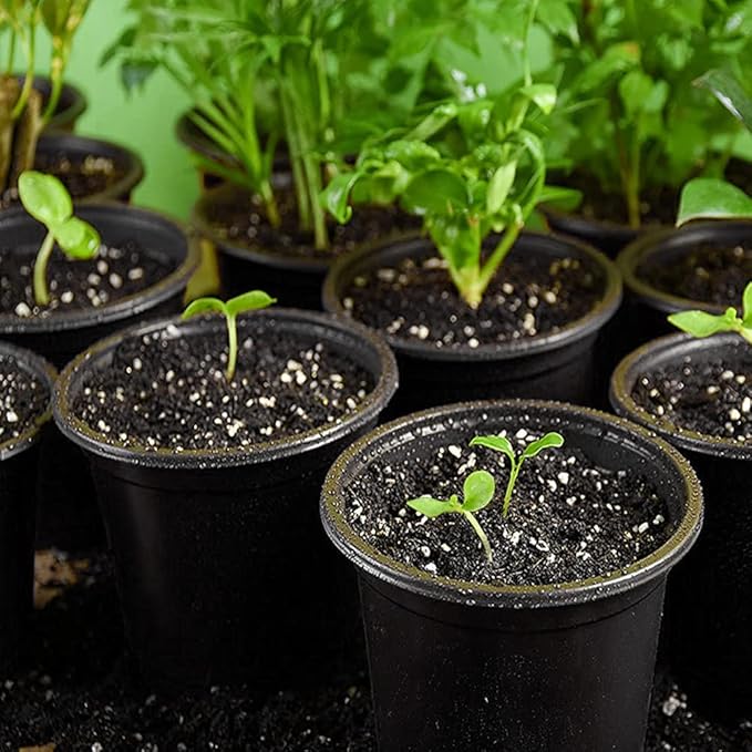 100-Pack 0.5 Gallon Flexible Plant Nursery Pots，Thickened Soft Plastic Seedling Pots,Seed Starting Pot Flower Plant Container for Succulents, Seedlings, Cuttings, Transplanting(Black)