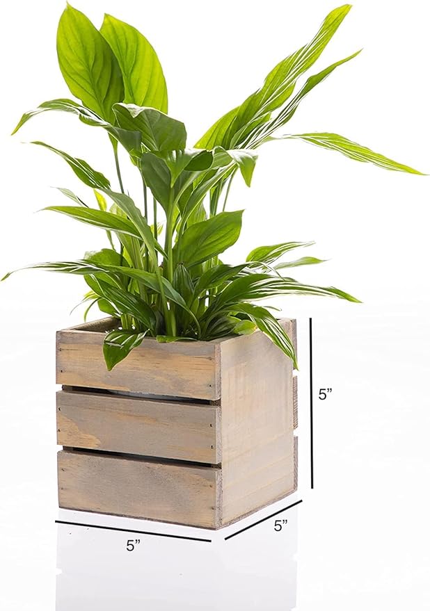 Wood Planter Box with Wine Crate Styled, 5 Inch Square, Rustic Barn Wood, Plastic Liner, Wedding Flowers Holder, Home and Venue Decor, (5x5 Wine Crate Set of 4)