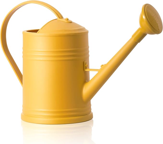Plastic Indoor Watering Can with Detachable Sprinkler Head - 68oz (1/2 Gallon) for House Plants and Flowers