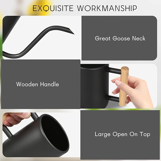 Watering Can for Indoor Plants, 35 oz/1000 ml Metal Stainless Steel Pot with Long Spout for House Plants Bonsai Outdoor Garden Flower Decorative (Black)