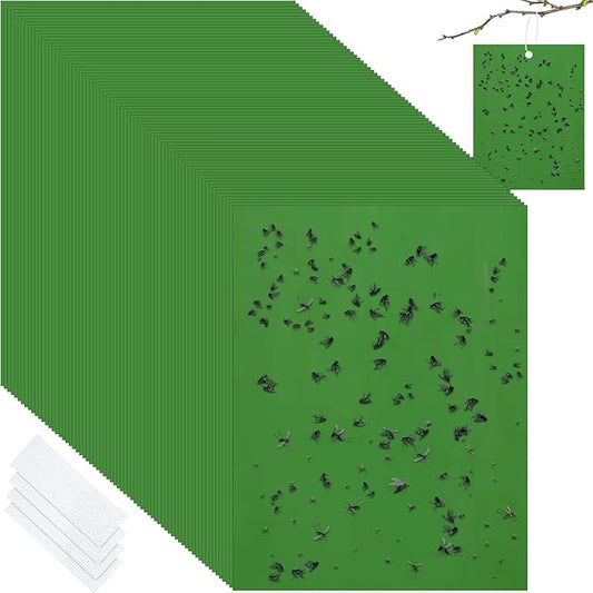 Qualirey 100 Pcs 6 x 8 Inch Sticky Traps for Plant Double Sided Sticky Trap for Gnats with Twist Ties Fly Traps for Fruit Insect Fungus Bugs Indoor Outdoor (Green)