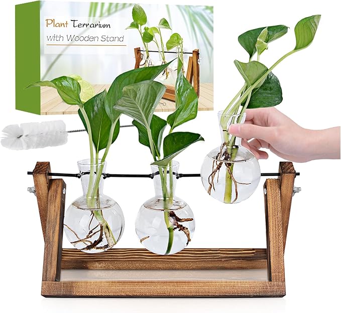 Plant Propagation Station, Plant Terrarium with Wooden Stand, Unique Gardening Birthday Gifts for Women Plants Lovers, Home Office Garden Decor Planter - 3 Bulb Glass Vases