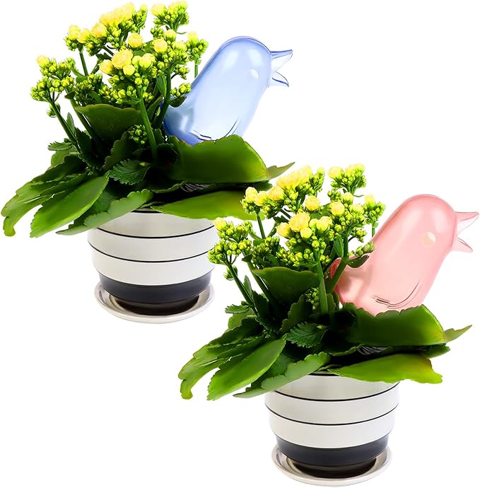 6 Pack Self Watering Spikes Plant Waterer Bird Shape Self Watering Globes Clear Watering Stakes Automatic Drip Irrigation Water Devices Vacation Houseplant Potted Plant Watering Bulbs