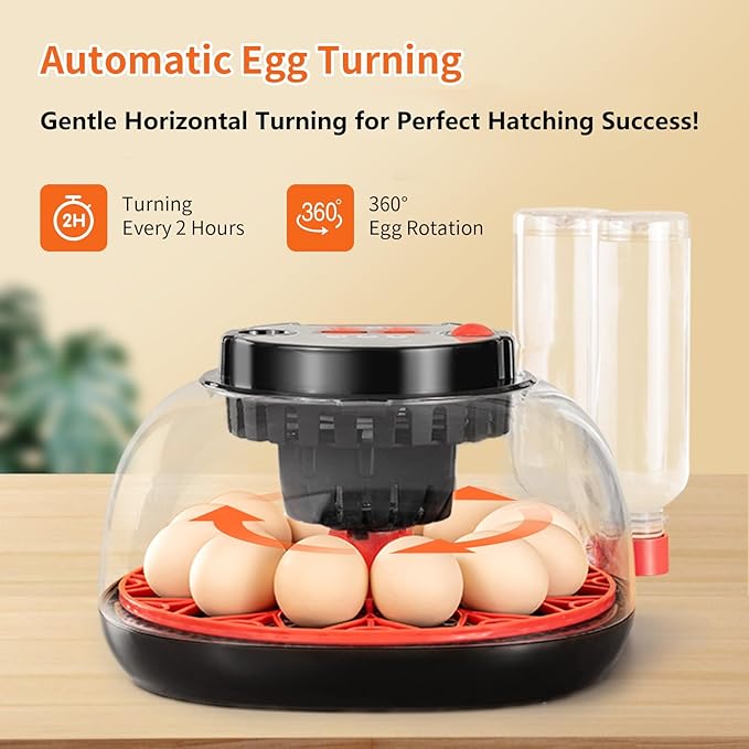 Incubators for Hatching Eggs, 12 Egg Incubator with Automatic Egg Turning and Humidity Control, Water Refill, Air Vent, 360° Viewing for Chickens Ducks Birds, Ideal for Farm, Classroom, Lab, Home Use