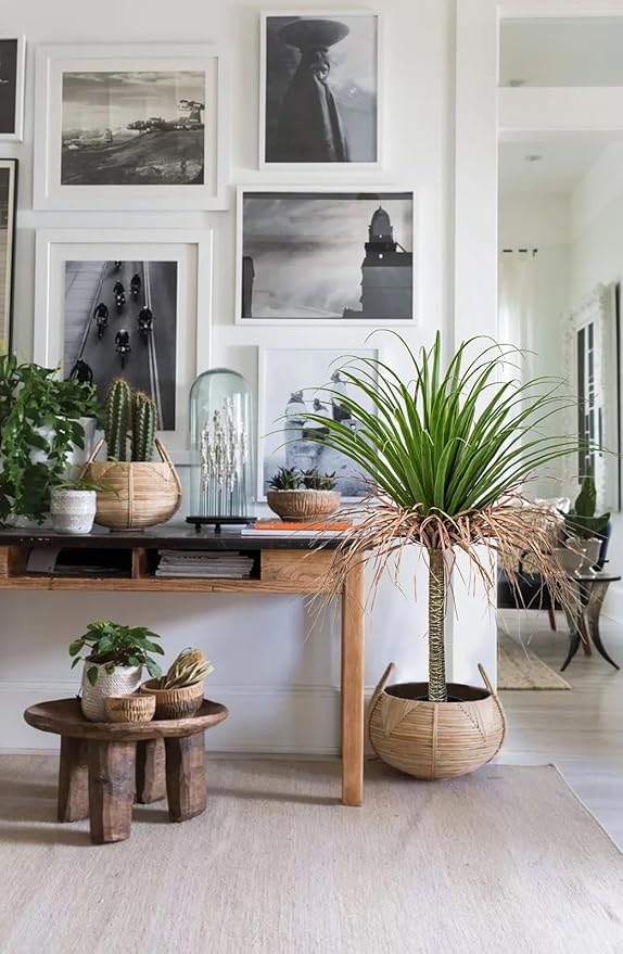 Hollyone 2 Pack Artificial Agave Tree, 3.6Ft Faux Yucca Plant in Pot, Green, Polyester, Indoor/Outdoor Decor, Housewarming Gift