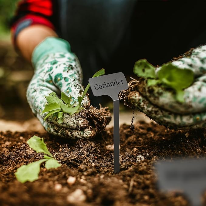 Stainless Steel Plant Labels,Metal Waterproof Plant Markers, Height 12.75 in, Label Area 2.5 in*1.25 in resuable Nursery Tags for Vegetables herb Flower Seed Green House 10-Pack