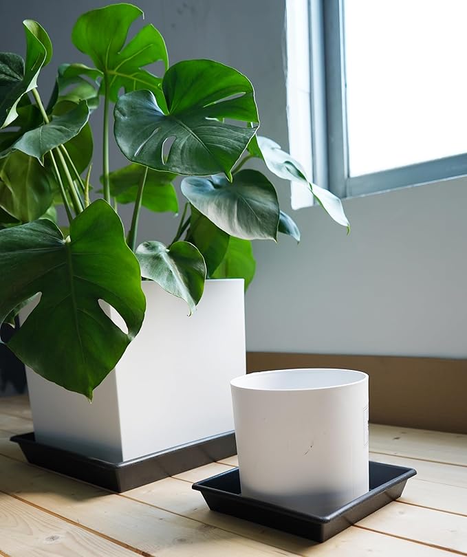 Square Plant Saucer 14 Inch 5 Pack 8 12 14 16 18 20 Plant Trays for Pots Heavy Duty Plastic Plant Saucers for Indoors Outdoors, Flower Pot No Holes Plant Drip Trays
