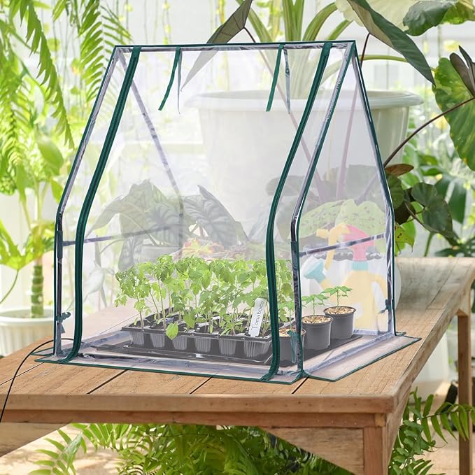 Mini Greenhouse for Indoor Outdoor: Ohuhu Tabletop Portable Green House with Waterproof Pad for Small Plants Nursery Germination, 36"x36"x42" Light Duty Cover Tent Humidity Dome Seedling Accessory