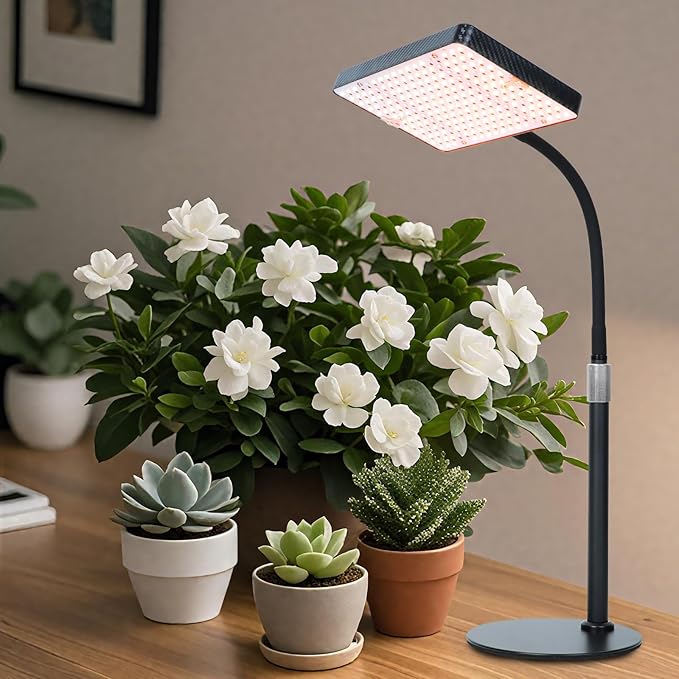 25W Table Top Grow Lights for Indoor Plants, Seed Starting, Bonsai with Timer Auto On/Off, 2500 Lumen Enough Bright Like A Small Sun for Your Jungle, Daisy Chain Function, 16"-24" Height Adjustable