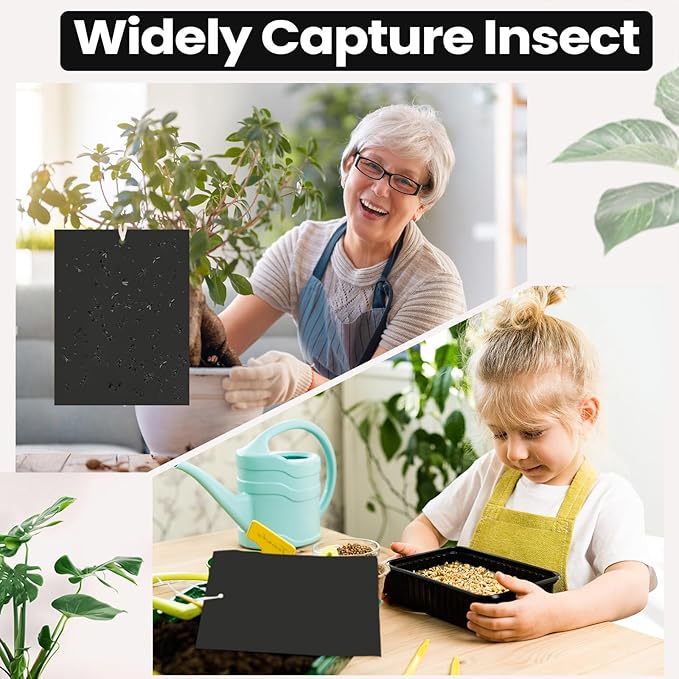 Qualirey 100 Pcs 6 x 8 Inch Sticky Traps for Plant Double Sided Sticky Trap for Gnats with Twist Ties Fly Traps for Fruit Insect Fungus Bugs Indoor Outdoor (Black)