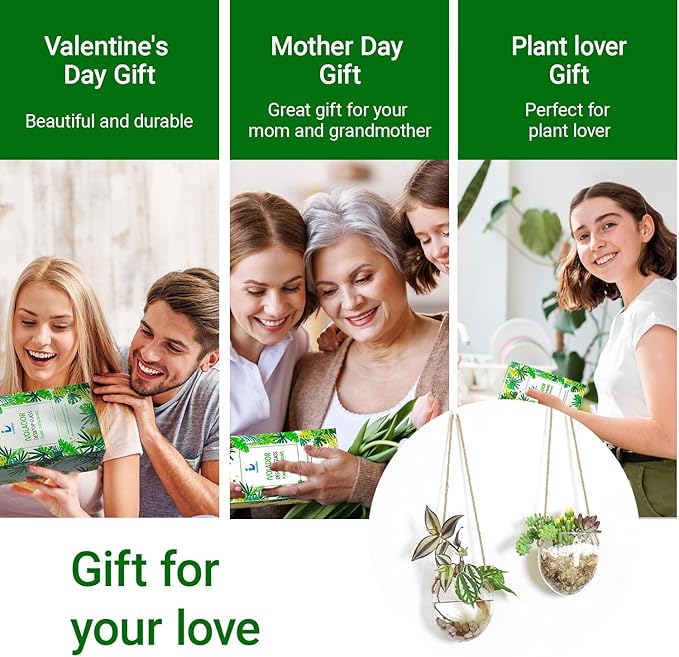 Wall Hanging Glass Planter Air Planter Terrarium Vase Propagation Stations for Hydroponic Plants, Succulent Moss Tillandsias Air Plants Globe,Home Office Garden Decor, Set of 2