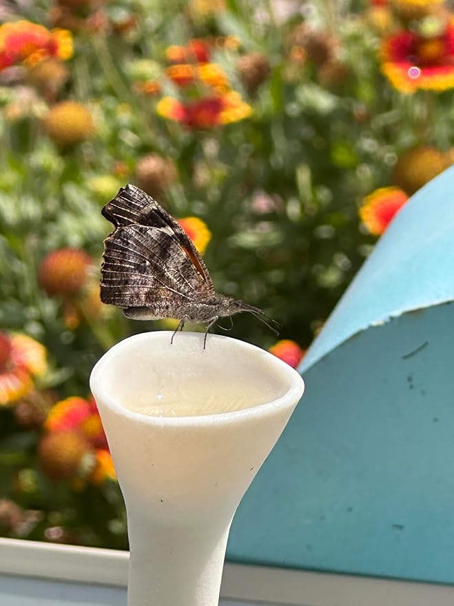 3 Pack, Bee Watering Station, Butterfly Feeder, Bee Feeder, Garden Decor, Bee Decor, Outdoor Garden Decor, Plastic Free, Handmade from Porcelain (3, White)