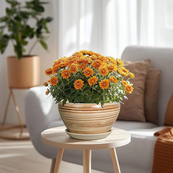 Indoor Planter 9 Inch - Ceramic Pots for Plants Plant Pot Indoor with Drainage Hole and Saucer Round Large Planter Modern Outdoor Flower Pot for House Patio Yellow