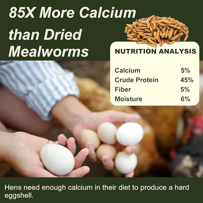 Adaman Dried Black Soldier Fly Larvae 5 LBS-100% Natural BSF Larvae-More Calcium Than Dried Mealworms High-Protein Chickens Treats, Food for Birds, Ducks, Layer Hens