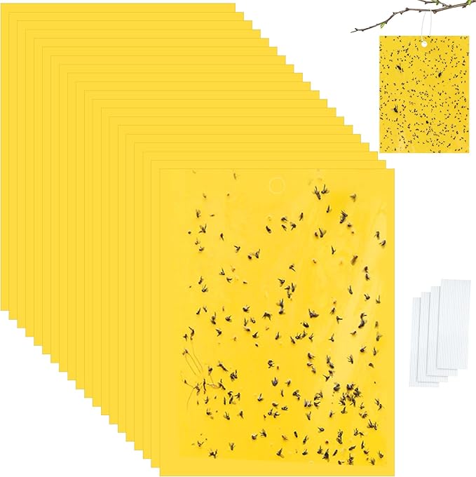Qualirey 20 Pcs 6 x 8 Inch Sticky Traps for Plant Double Sided Sticky Trap for Gnats with Twist Ties Fly Traps for Fruit Insect Fungus Bugs Indoor Outdoor (Yellow)