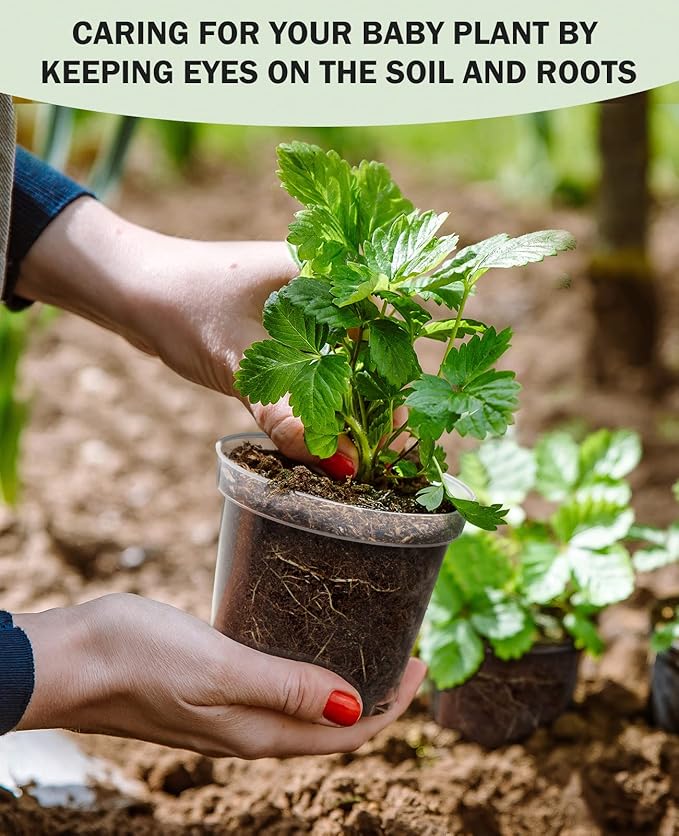 homenote Clear Nursery Pots for Plants,4 Inch Plant Pot for Planting Plastic Seedling with Drainage Holes Seed Starter Flower High Transparency with 20 Labels (60 Pack)