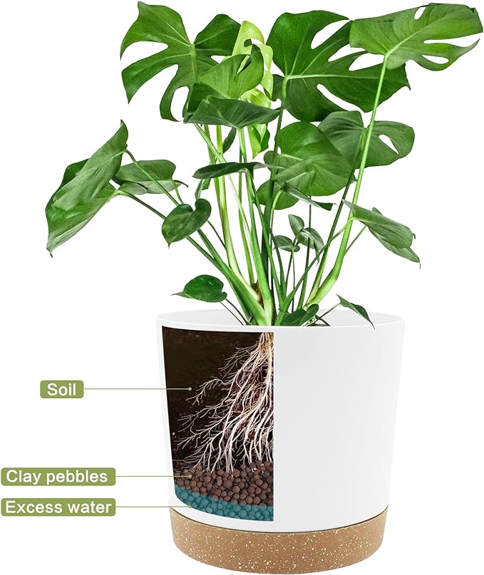 QCQHDU 8 inch Plant Pot, 2 Pack Planters for Indoor Plants with Drainage Holes & Saucer, Outdoor Flower Pots Home Garden Modern Decor