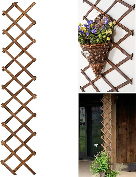 Wooden Lattice Wall-Expandable Plant Garden Trellis for Climbing Plants Outdoor Air Plant Vertical Rack Wall Decor for Room Patio
