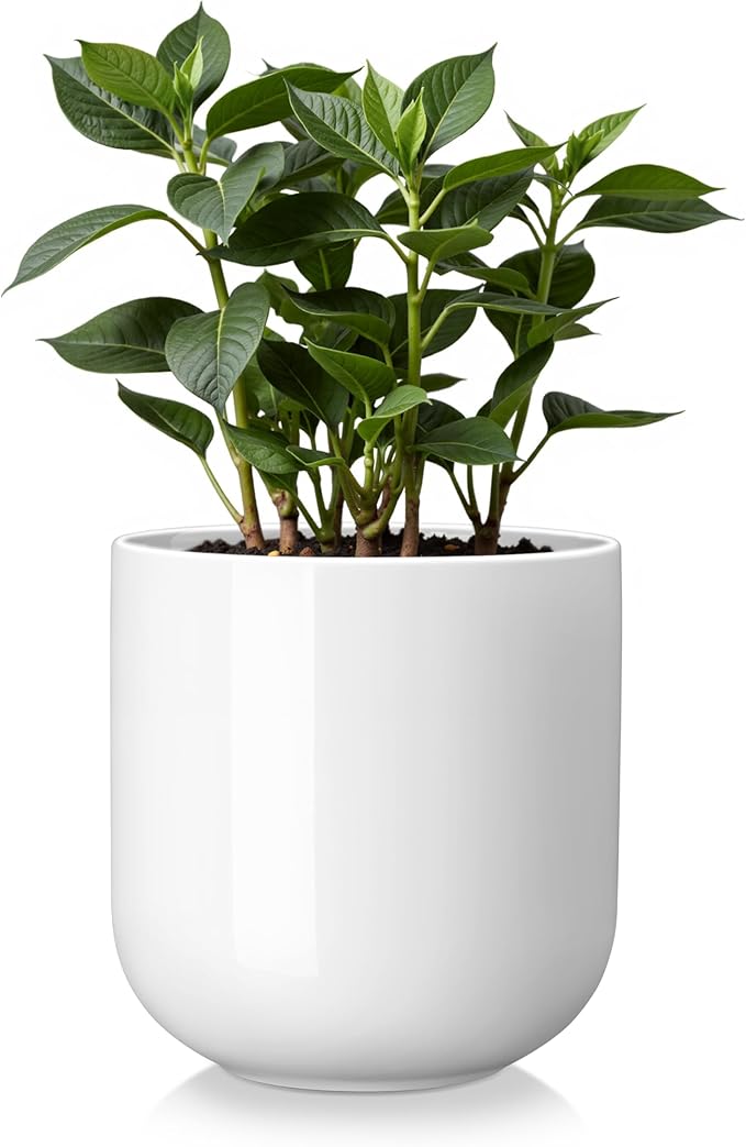 vancasso 6 Inch Ceramic Plant Pots, Planters with Drainage Hole, Flower Pots Planters Pots for Indoor Plants, Modern Indoor Decorative Garden Pot, Home Decor, White