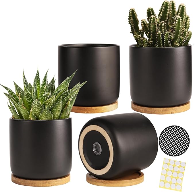 4 Inch Ceramic Plant Pots with Drainage Holes and Trays, Adorable Small Cylinder Flower Planter Pot for Indoor Plants, Succulent, Snake Plants, Cactus & Herbs, Black, Set of 4