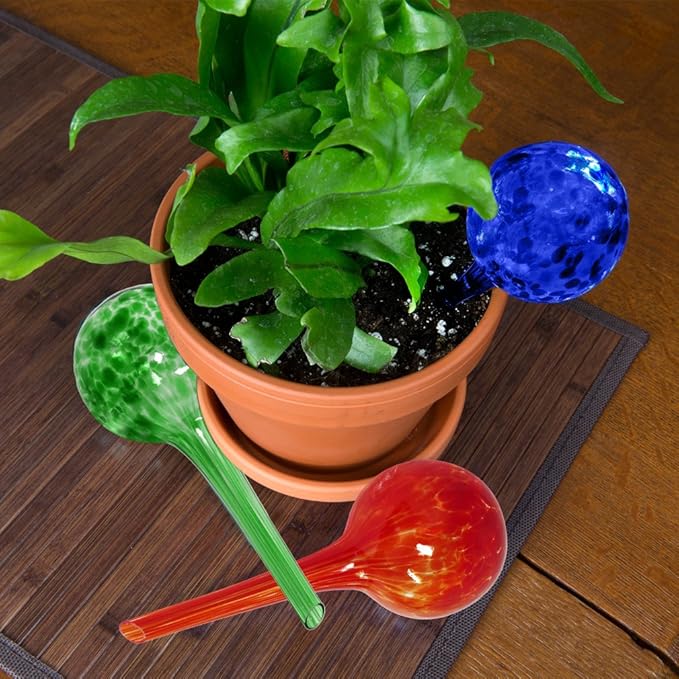 Evelots Plant Watering Globes (6 Pack) - Hand Blown Glass - Automatic Water Irrigation System - Indoor/Outdoor - Leave Your Home Worry Free