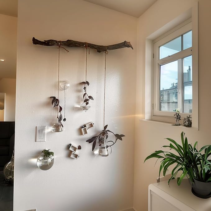 Glass Hanging Planter Plant Terrarium Hanging Propagation Station Container for Hydroponic Plants Home Garden Decor 3 Type