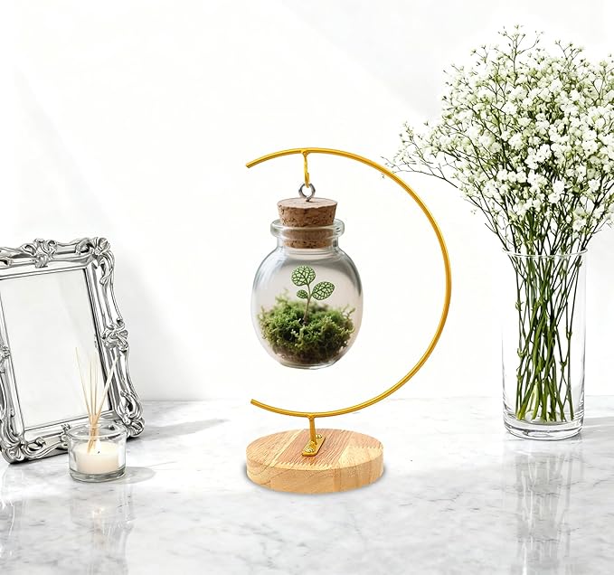 WAJJ Ornament Display Stand, 1 Pack Iron Hanging Stand Rack Holder for Hanging Glass Globe Air Plant Terrarium, Witch Ball and Home Wedding Decoration (Round Wood Gold)
