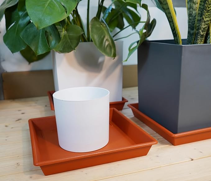 Square Plant Saucer 6 Inch 5 Pack6 8 12 14 16 18 20 Flower Pot No Holes Plant Drip Trays, Plant Trays for Pots Heavy Duty Plastic Plant Saucers for Indoors Outdoors
