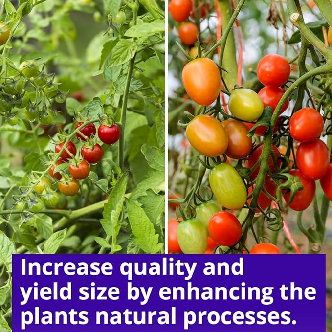 Humboldts Secret Sweet & Sticky – Carbohydrate and Saccharide Energy Source – Enhance Aroma and Flavor of Plants – Potting Soil for Indoor Plants – Energy for Plants – 1 Gallon